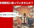 楽天市場約3万5千店のリスト責任者名付き販売します 決定権者に直結！約3万5千件の高品質データ イメージ2