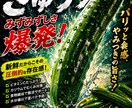 夏野菜の売れるPOPを制作します 八百屋専門売れるPOPを制作します。 イメージ6