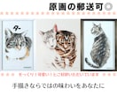 猫さんやペットのあたたかな似顔絵お描きします ◎ハガキサイズ送料無料＆フレームイン／イラスト／肖像画／額縁 イメージ8
