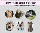 ペットの写真からオリジナルLINEスタンプ作ります 愛するペットの日常をスタンプで残しませんか？ イメージ3