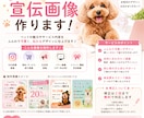 ペット向け可愛い宣伝画像作りまます 「思わず見てもらえる♡伝わる可愛いデザイン作ります」 イメージ1