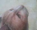 ペットのお写真から油絵作品を制作します 細密描写によるリアルで可愛い作品をお届け イメージ9