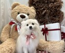 なんでもお話をお伺いします あなたのお話を聞かせてください！気持ちに寄り添います イメージ1