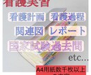 看護実習の課題、この資料あればすぐ終わります 看護実習 看護過程 看護計画 関連図 アセスメント 事前課題 イメージ1
