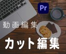 カット編集のみ依頼したい方、代行します すぐに対応して欲しい方、ご相談下さい！ イメージ1