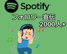 Spotifyフォロワー【+2000人UP】します 〇スポティファイのフォロワーマーケティング〇2000人増加〇 イメージ1