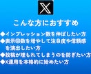 X（Twitter）にインプレッションを拡散します 【モニター価格】★表示回数★エックス★匿名評価★安い イメージ6