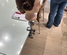 話をしっかりと聞きアドバイスと寄り添って考えます 誰にも言えない人間関係などの悩み聞きます イメージ4