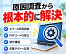 WordPress・PHPをバージョンアップします 制作会社が作った独自テーマや古いプラグインのエラーにも対応 イメージ3