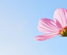 介護福祉士国家試験✨一発合格した私の勉強法伝えます PDF＋質問対応！40歳後半で挑戦した無理なく続ける勉強法 イメージ4
