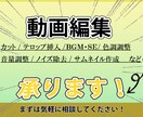フルテロップでも動画編集いたします 20分以内の編集お任せ下さい！ イメージ1
