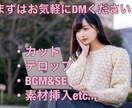 Youtubeの動画編集承ります 高品質＆丁寧!!　コスパに優れた動画編集を代行いたします。 イメージ2