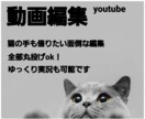 動画編集いたします 動画投稿を始めたいけど編集は面倒な方へ イメージ1