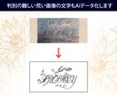 元データに忠実に画像→Aiデータ化承ります 手書き・イラスト・ゆがんだ画像・見えずらい画像もOK イメージ4