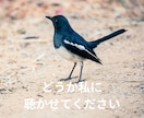 ひきこもり・生きづらさを抱えるあなたのお話聴きます 元当事者が聴くチャット相談【1日チャット・メッセージ無制限】 イメージ7