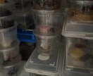 カブトムシ クワガタ管理方法を教えます カブトムシ クワガタの飼育方法を教えます。カブト クワガタム イメージ1