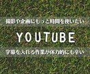 YouTubeなどのテロップ作成・編集を代行します 【手間の掛かる作業を代行★あなたの動画制作を加速させます！】 イメージ2