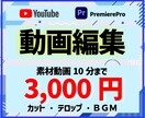 現役YOUTUBERが動画編集をお手伝いします これから動画投稿を始めたい！安価に動画編集を依頼したい方！ イメージ1