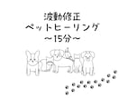 波動修正ペットヒーリングを行います ペットのための遠隔祈念ヒーリング15分 イメージ1
