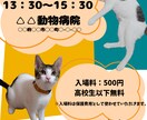 Canva保護猫譲渡会の簡単SNSチラシ作ります 譲渡会チラシで保護猫ちゃんの里親さん見つけませんか? イメージ3