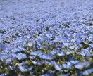 5分だけ誰かと話したい人向けに待ってます 深い理由がなくても大丈夫です！ イメージ3