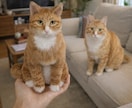 写真から作るオーダーメイド羊毛フェルトペットます 提供内容：彫刻犬猫そっくりぬいぐるみ イメージ5