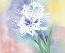 大好きなお花をデジタル水彩画で描きます 季節に合わせたお花を絵葉書にしてみませんか イメージ6