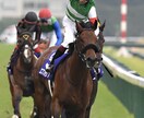 中央　地方競馬予想します 中央、地方競馬メイン、最終レース予想調子絶好調回収率アップ イメージ1