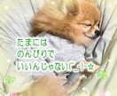 気楽にチャットで話しませんか？なんでも聞きます 悩んだり、愚痴りたくなったり…頑張ってるあなたに寄り添います イメージ4