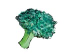 水彩挿絵描きます チラシやメニュー表などで食べ物イラストが必要な方へ⭐ イメージ4
