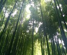 四柱推命で今後3年の運勢を鑑定します 結婚や転職などのタイミングにお悩みの方におすすめ イメージ2