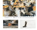 あなたの愛猫の動画作ります ゆるりとほんわかした動画をお届けします イメージ5