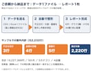 CSV・Excelをグラフ付きレポートにまとめます グラフ3種・A4横1枚のExcelレポート｜納期3日 イメージ3