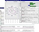 あなたの婚活の悩みを解消します ～個性を知ることから始めましょう！～ イメージ4