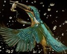 黒紙に色鉛筆でリアルな絵を描きます 他にはない黒紙に色鉛筆でリアルな質感で絵を描くアートです。 イメージ9