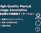 高品質アノテーションを提供します ダブルチェックの必要なし！最短、高品質アノテーション イメージ1