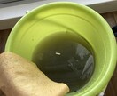 ご家庭の清掃の相談受付ます キッチン、トイレ、バスルーム清掃で汚れた清掃相談受付ます。 イメージ1