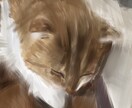 可愛いペットのLINEアイコン作成します 写真とはまた違う、味のあるイラストで可愛いペットを描きます。 イメージ2