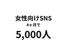 女性向けSNSを伸ばす投稿設計サポートします 自分のアカウントを育てたい方向け イメージ1