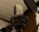 ナレーション、一言メッセージなど録音します ちょっとした宣伝や動画ナレーションなどに イメージ1
