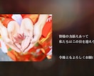 感動をお届けします 感動演出！感謝を伝えるエンディングムービー イメージ2