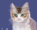大切なネコちゃんのアートを水彩ペン使って描きます 思い出や性格のカラーを背景に反映させます♡デジタルアート！ イメージ4