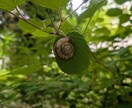 あなたに伝えたいことばがあります 母親の役割に囚われていませんか？あなたの悩みに寄り添います イメージ4