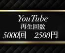 即日即効果⭐️YouTube５０００回＋宣伝します 販売実績千件記念⭐️１再生０.５円⭐️６０日保証で安全安心♪ イメージ1