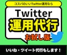 あなたのTwitter100フォロワー増加させます アクティブユーザーの獲得をお手伝いさせていただきます イメージ1