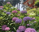 夫婦問題／離婚／再婚のお話聞きます 人生の大きな決断…誰にも話せない…を私がお聞きします イメージ3