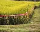 静かな奈良旅をご提案します 観光だけでは出会えない奈良があります。 イメージ6