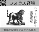 ヴァレファルを召喚しペットの本音を暴き絆を深めます 使役している悪魔ヴァレファルがペットの本音を暴き相性を占う イメージ1