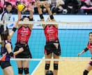 完全個別！プロのトレーニングメニュー作成します PTとATの国家資格を持つ、一流のメニューをご提供します イメージ8