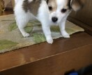 恋愛や人間関係、病気等幅広い悩み相談に応じます こころの声を吐き出す場所になれますように イメージ5